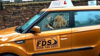 Горячее порно 4K - Ryan Ryder Teaches Young Black Babe Car Fuck in POV бесплатно на TREXPORN.NET