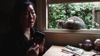 Горячее порно 4K - Saki's Hot Casting Interview Before the Shoot бесплатно на TREXPORN.NET