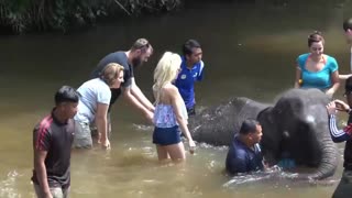 Горячее порно 4K - Blonde GF Elsa Jean takes big cock creampie POV бесплатно на TREXPORN.NET