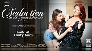 Горячее порно 4K - Funky Town Seduces Older Lover Anita M. in Living Room бесплатно на TREXPORN.NET